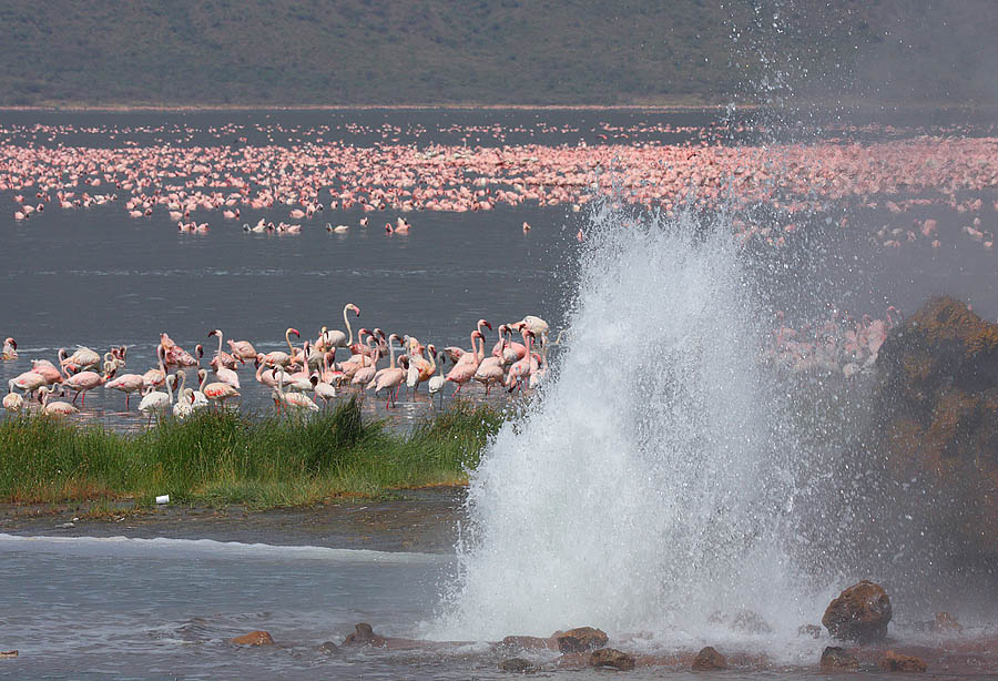 bogoria